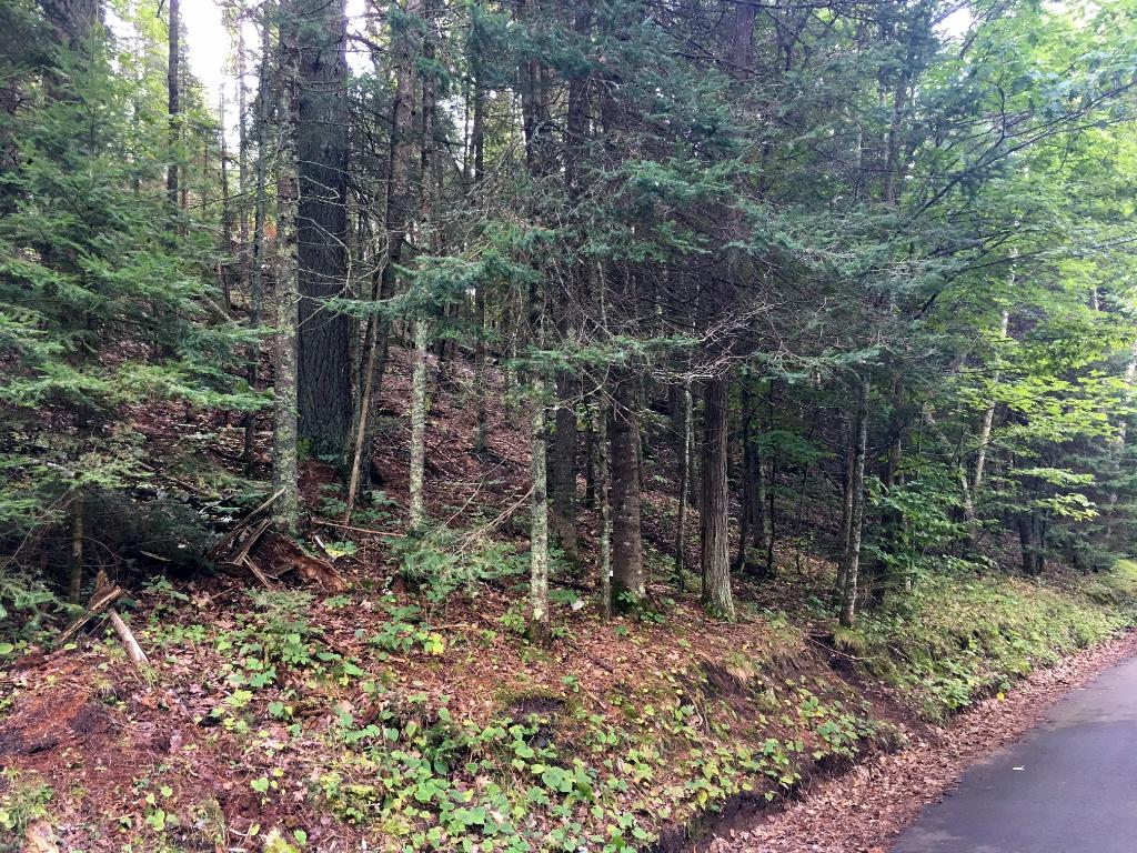 Lot 4 South Engstad Road Solon Springs, WI 54873 - Photo 1 of 1 Gallery Image 1