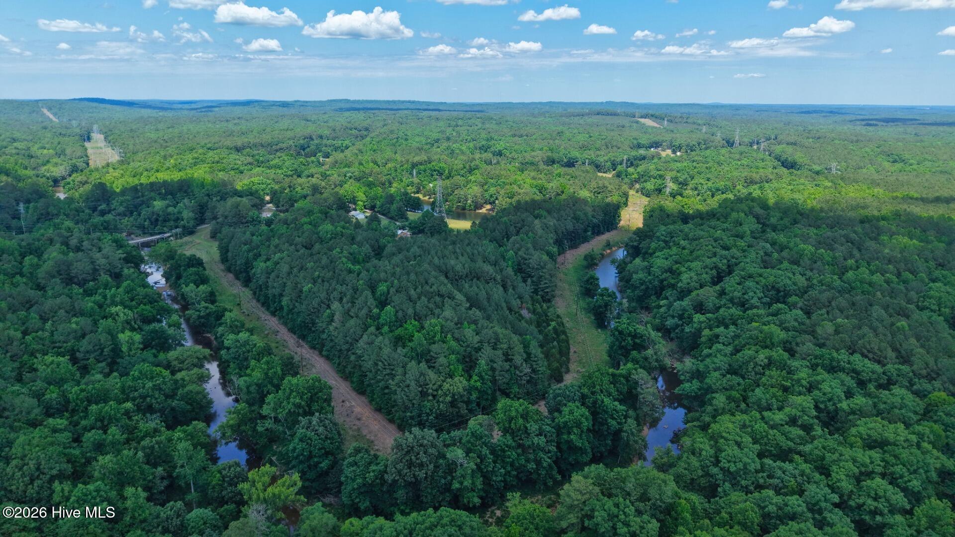 0 Laurel Rdg Road Durham, NC 27705 - Photo 12 of 36