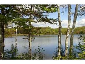 159 Spectacle Pond Road Brighton, VT 05846 - Photo 2 of 9