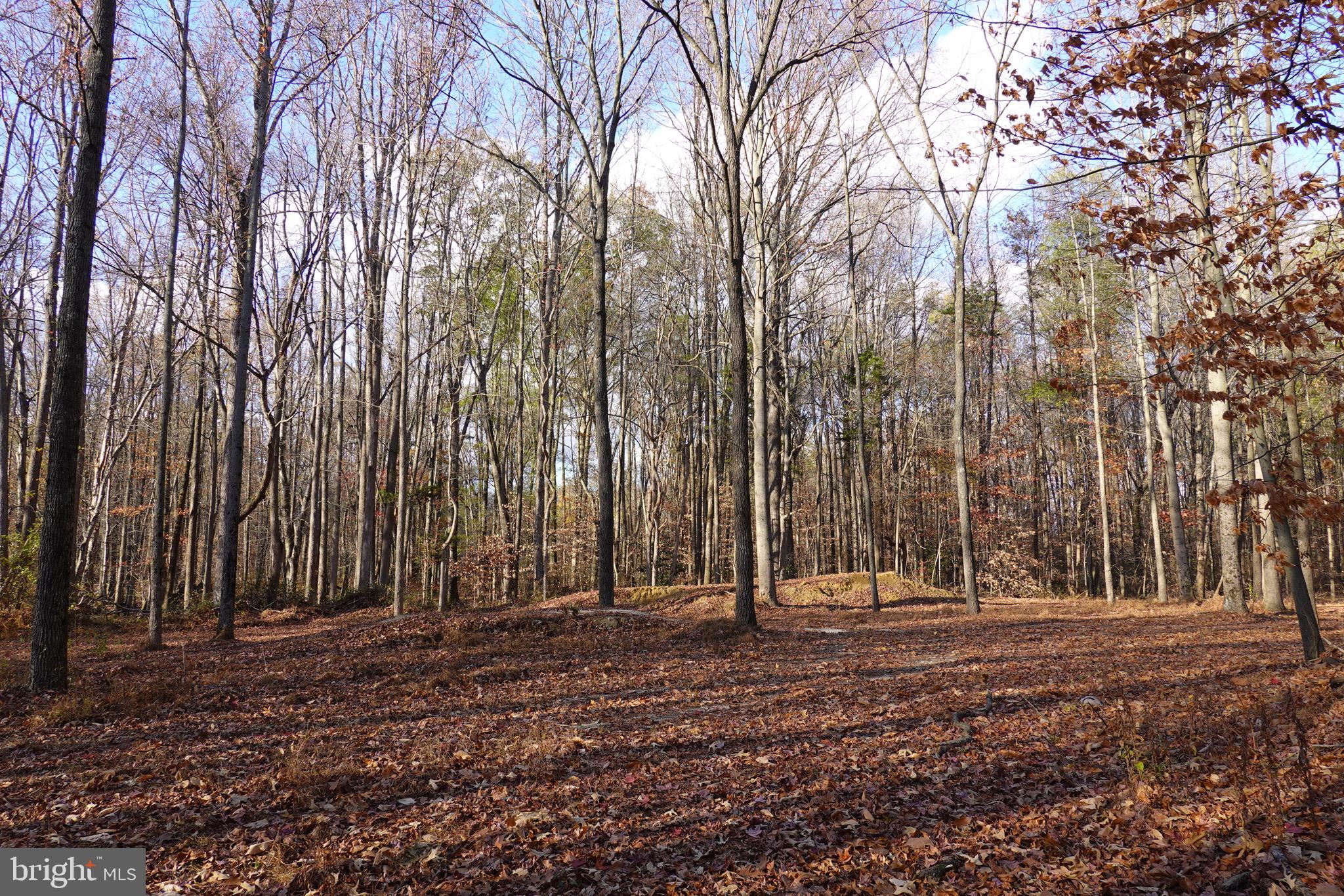 955 Dexter Corner Road Townsend, DE 19734 - Photo 2 of 10 a backyard of a house with lots of green space