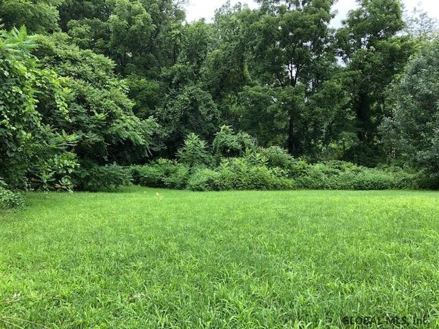 45 Firehouse Road Halfmoon, NY 12065 - Photo 3 of 20 Photo 3