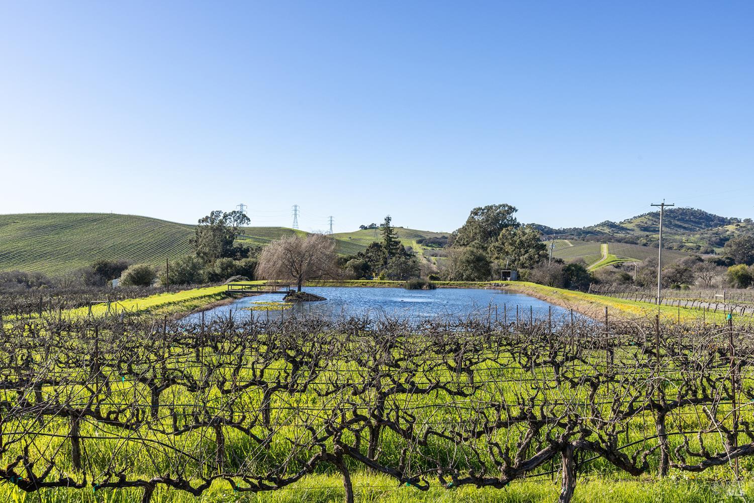 1289 Duhig Road Napa, CA 94559 - Photo 60 of 71