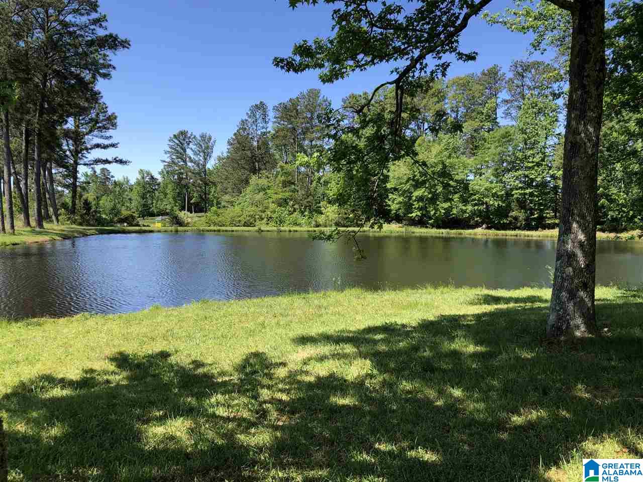 2676 Airport Road Oneonta, AL 35121 - Photo 8 of 14