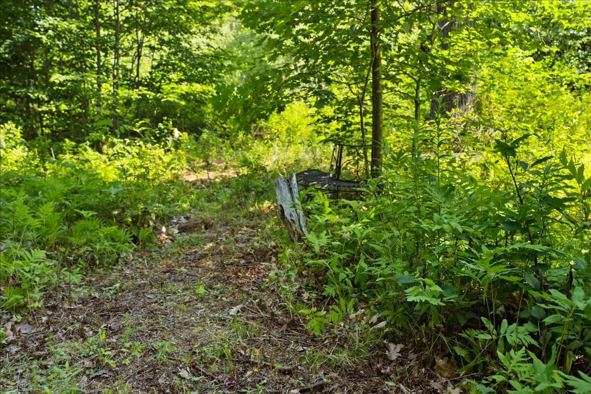 714 Mt Pisgah Road Winthrop, ME 04364 - Photo 91 of 94 014-DSC06062