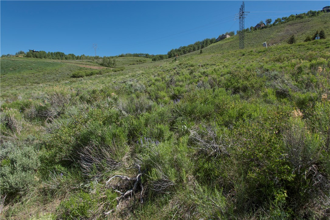 363 Angler Mountain Ranch Road North Silverthorne, CO 80498 - Photo 10 of 21 Gallery Image 10