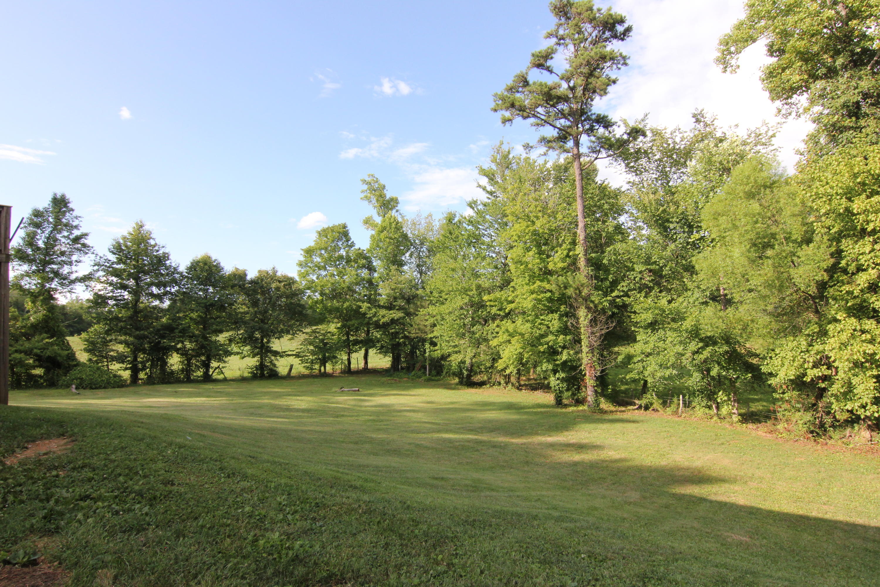 7912 Boruff Road Corryton, TN 37721 - Photo 22 of 26 IMG_7913
