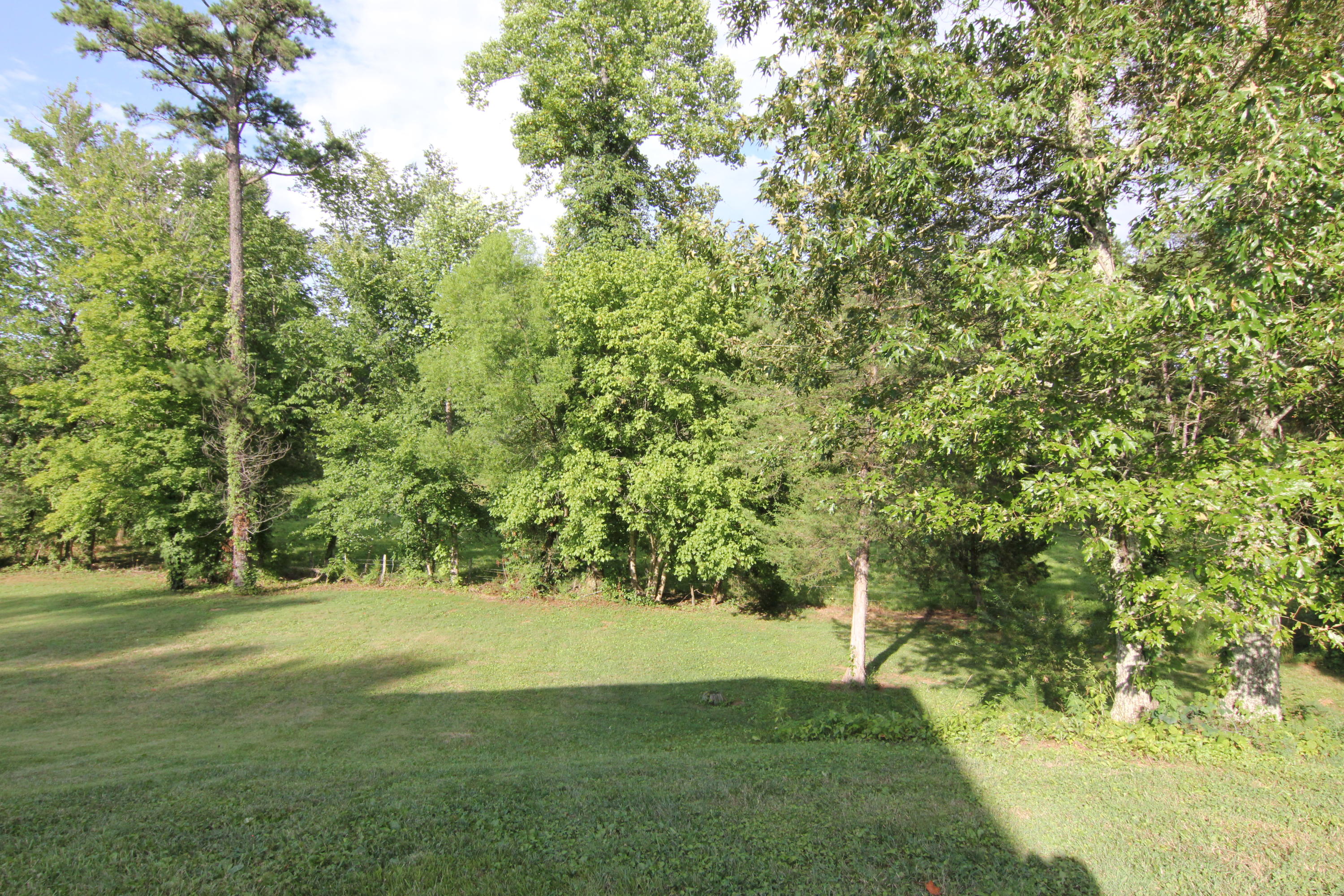 7912 Boruff Road Corryton, TN 37721 - Photo 23 of 26 IMG_7914
