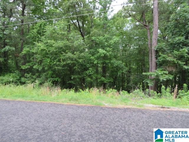 0 Deer Chase Road, Unit 12 McCalla, AL 35111 - Photo 2 of 2 Gallery Image 2