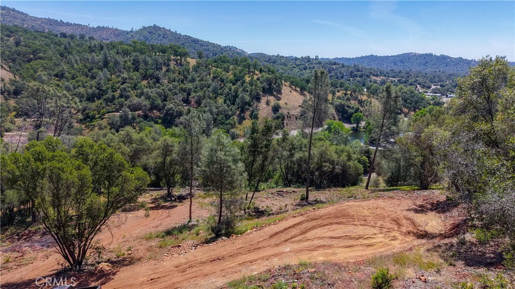10 Miller Road Mariposa, CA 95338 - Photo 6 of 34 a view of a forest with a mountain
