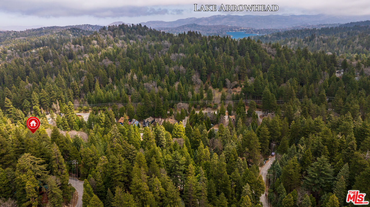 26645 Lake Forest Drive Twin Peaks, CA 92391 - Photo 29 of 30 a view of a lush green forest with a mountain and a lake