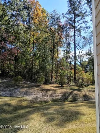 $245,900 | 3010 Alibird Lane, Carthage, NC 28327