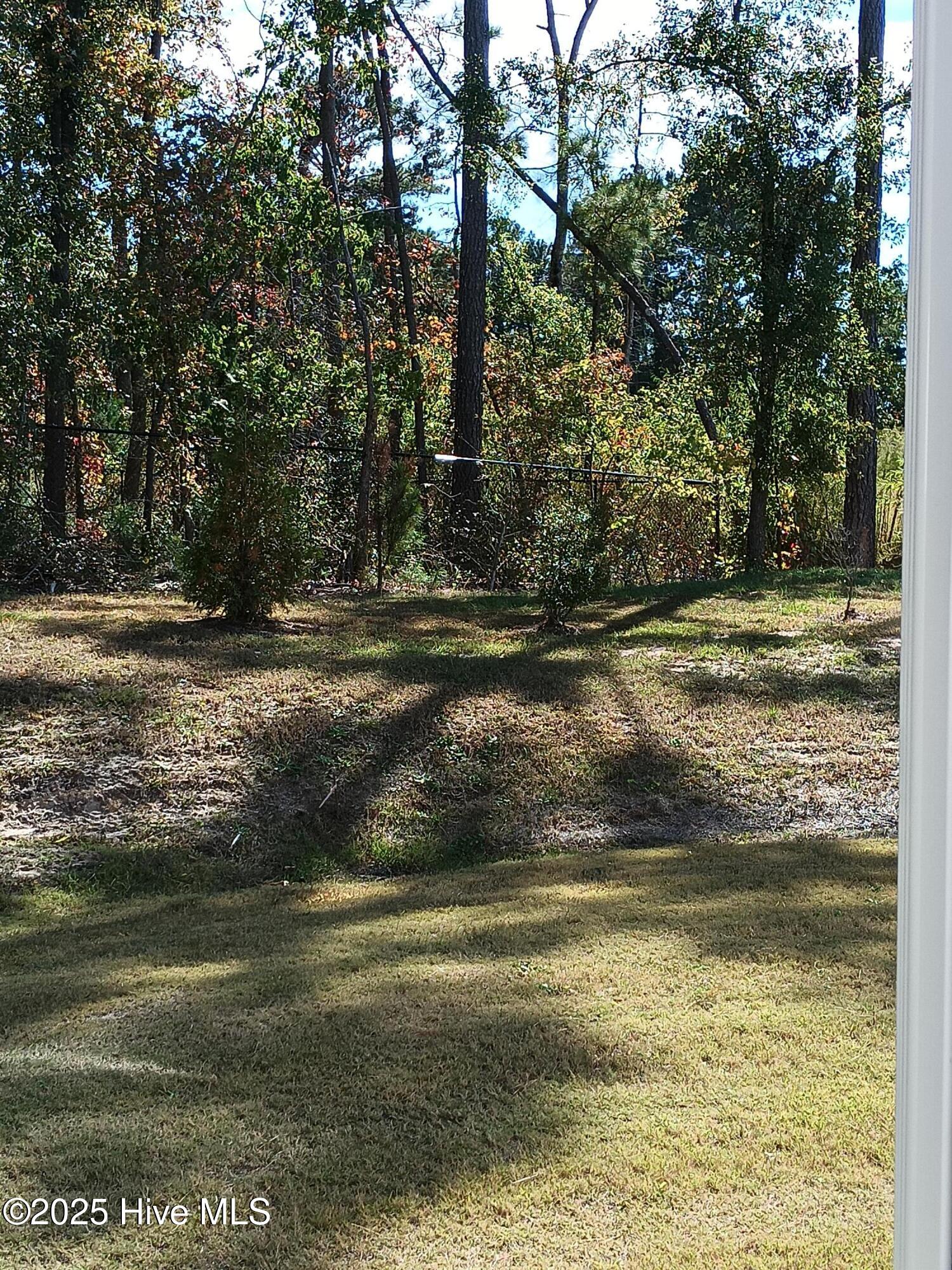 3010 Alibird Lane Carthage, NC 28327 - Photo 19 of 21 IMG_20251024_130820568