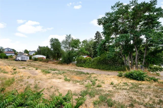a view of a yard with trees