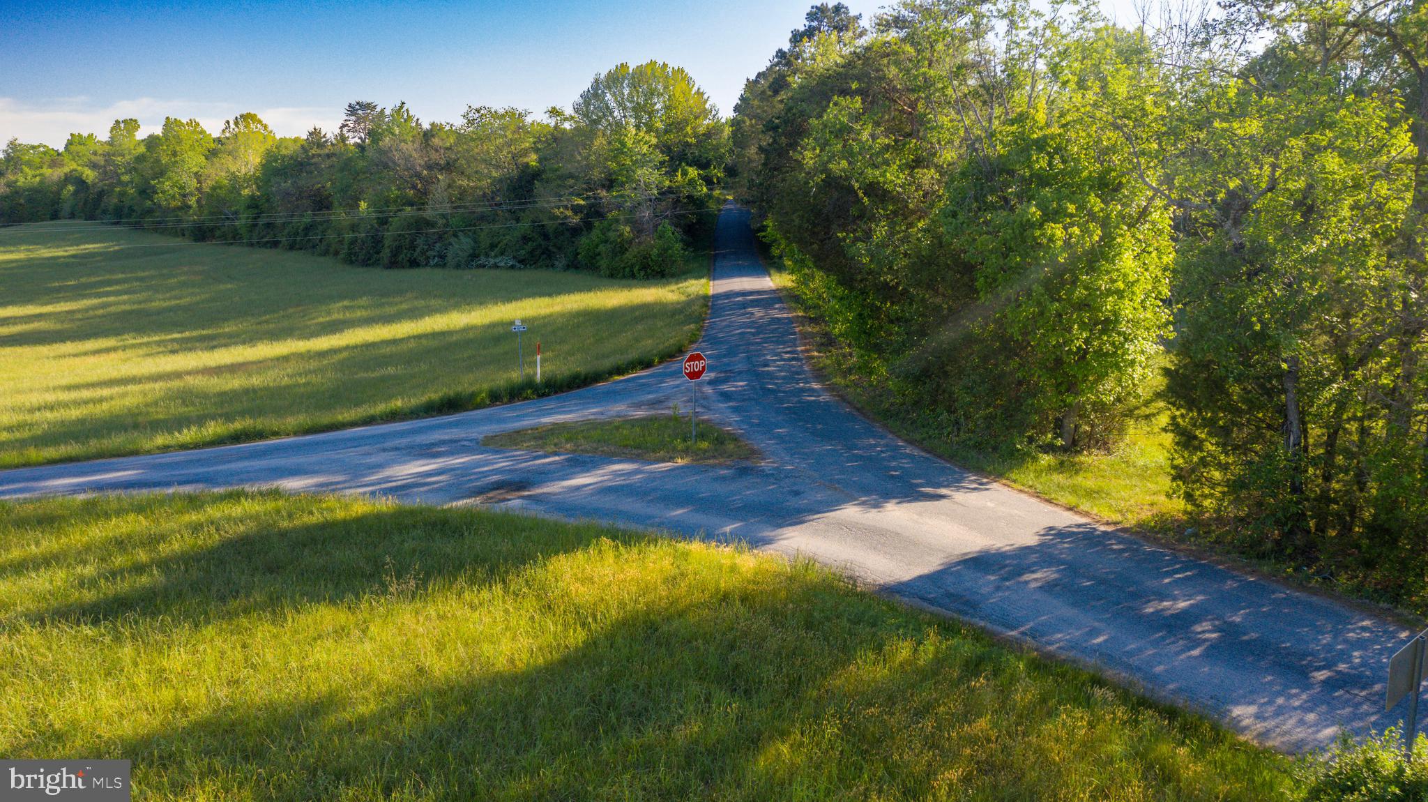 0 Trivette Road Beaverdam, VA 23015 - Photo 22 of 45