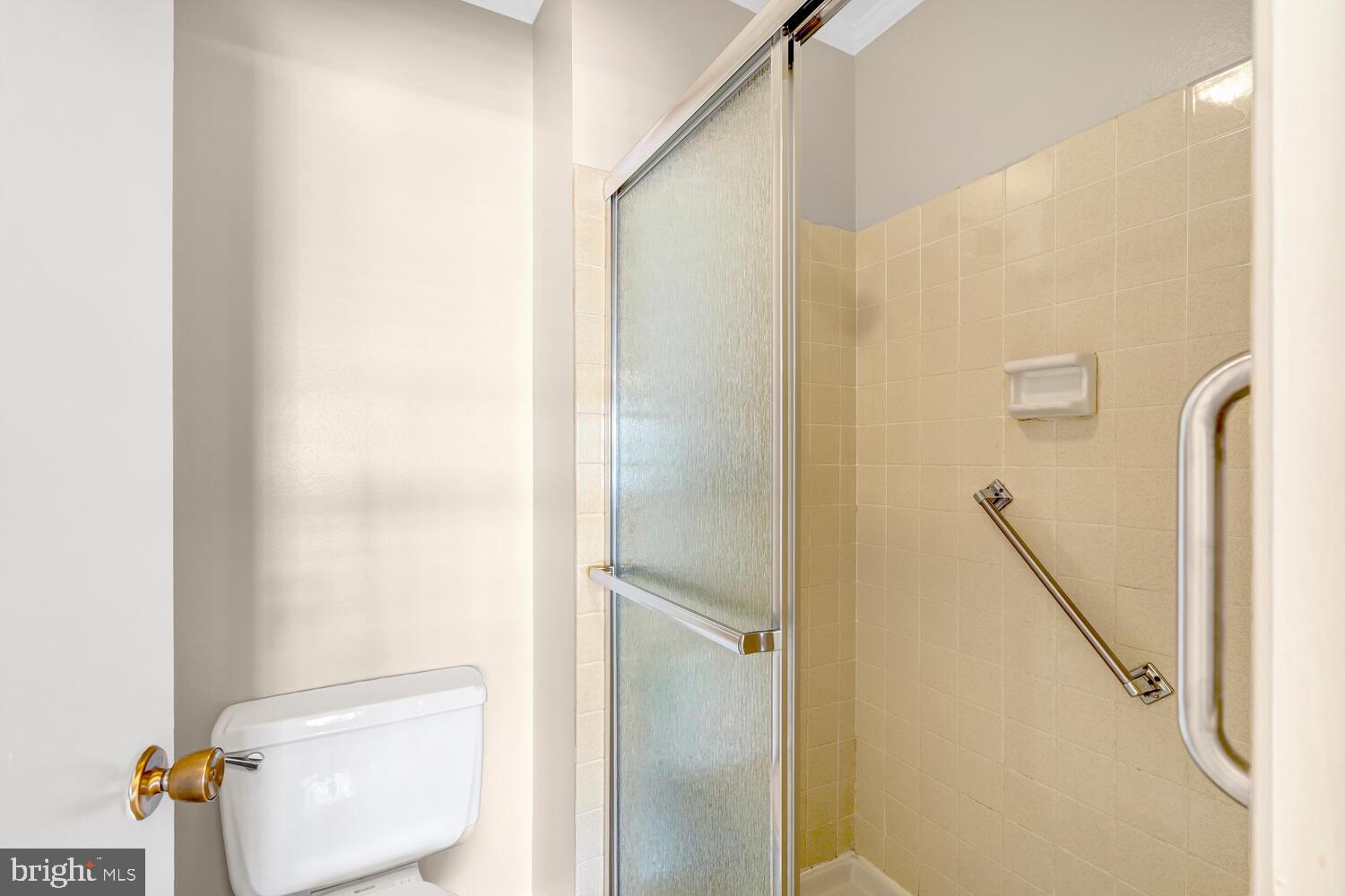 15300 Wallbrook Court, Unit 473A Silver Spring, MD 20906 - Photo 26 of 58 Primary Bathroom