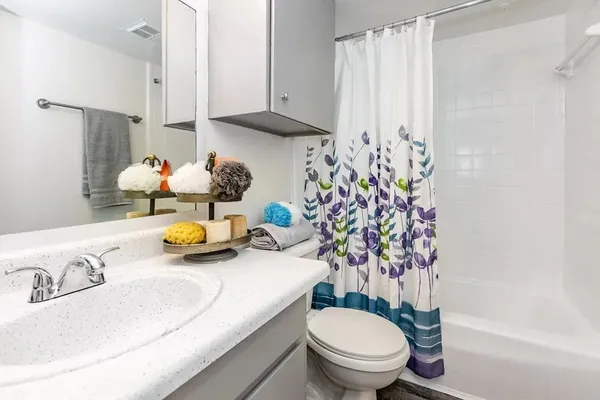 $929 | 4400 Memorial Drive, Unit 102123, Houston, TX 77007