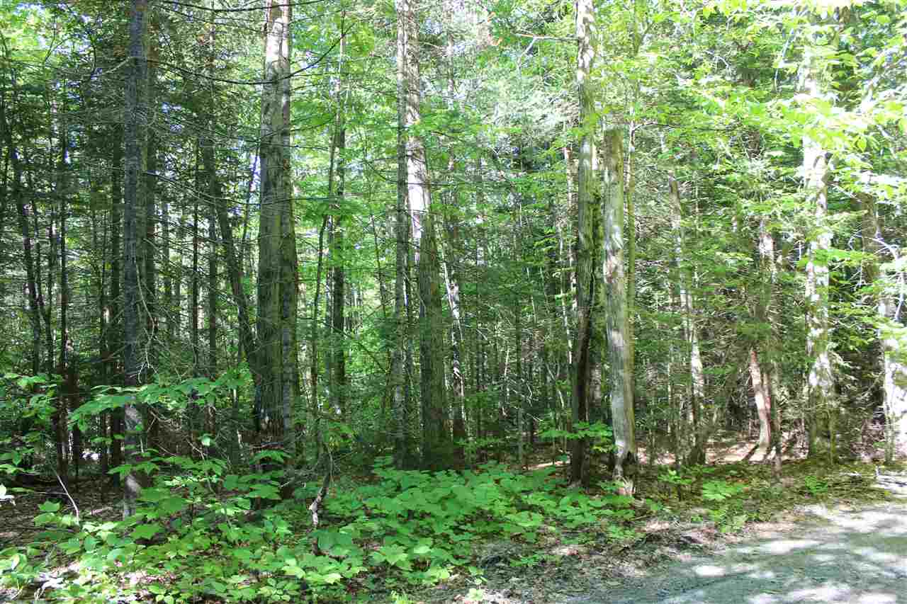 Golding Road, Unit 70151 & 070152 Windham, VT 05359 - Photo 1 of 9