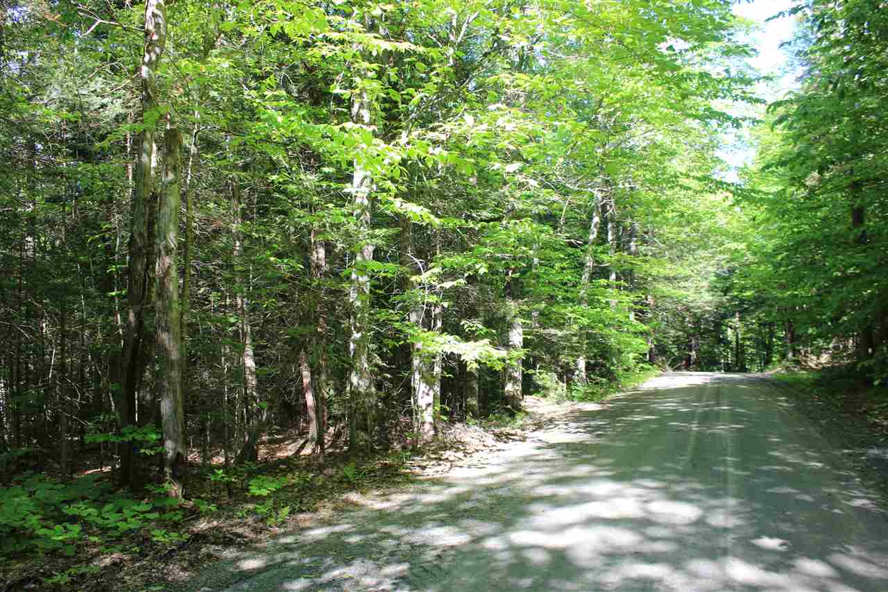 Golding Road, Unit 70151 & 070152 Windham, VT 05359 - Photo 2 of 9