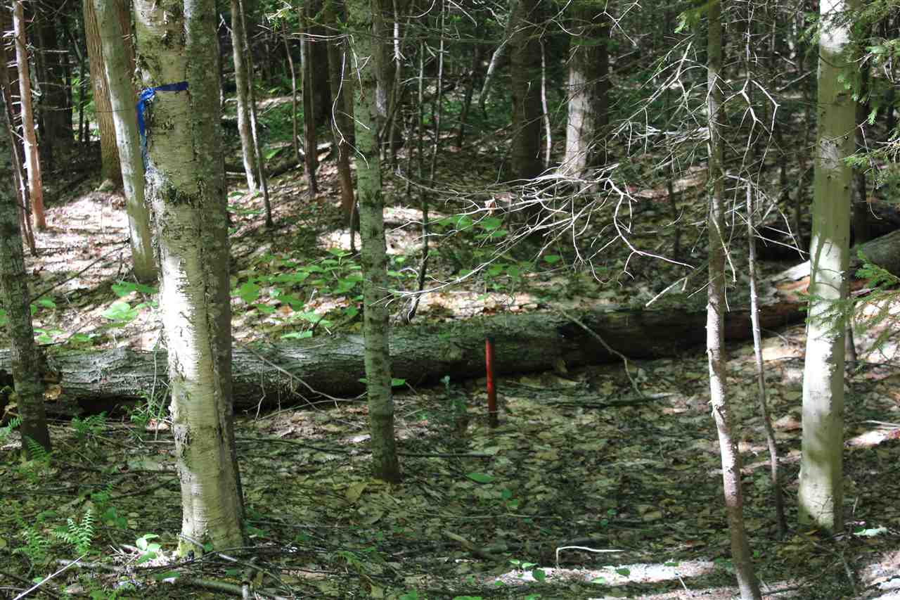Golding Road, Unit 70151 & 070152 Windham, VT 05359 - Photo 3 of 9