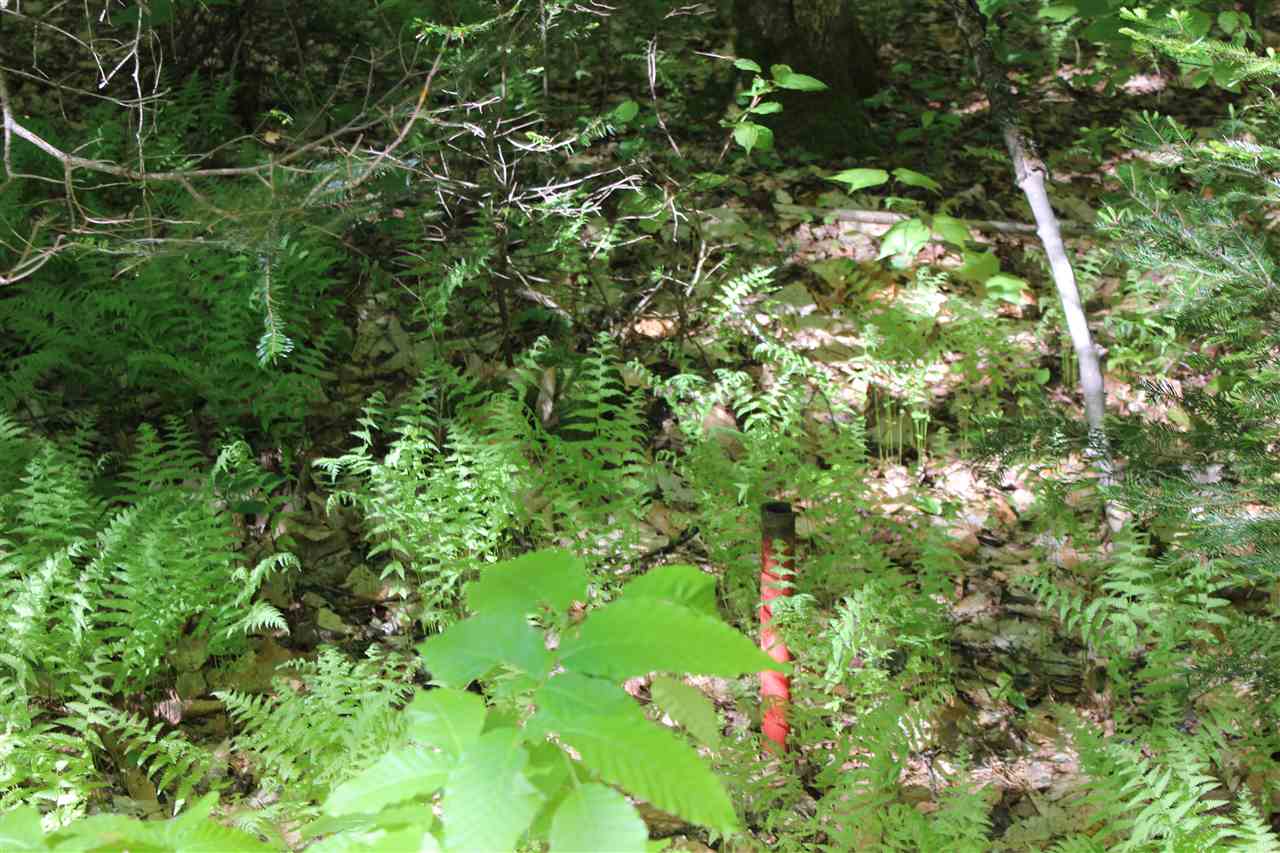 Golding Road, Unit 70151 & 070152 Windham, VT 05359 - Photo 4 of 9