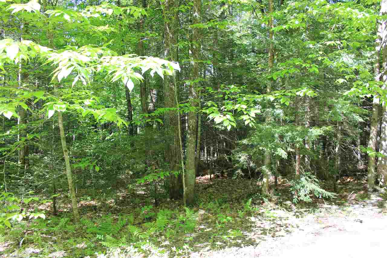 Golding Road, Unit 70151 & 070152 Windham, VT 05359 - Photo 5 of 9