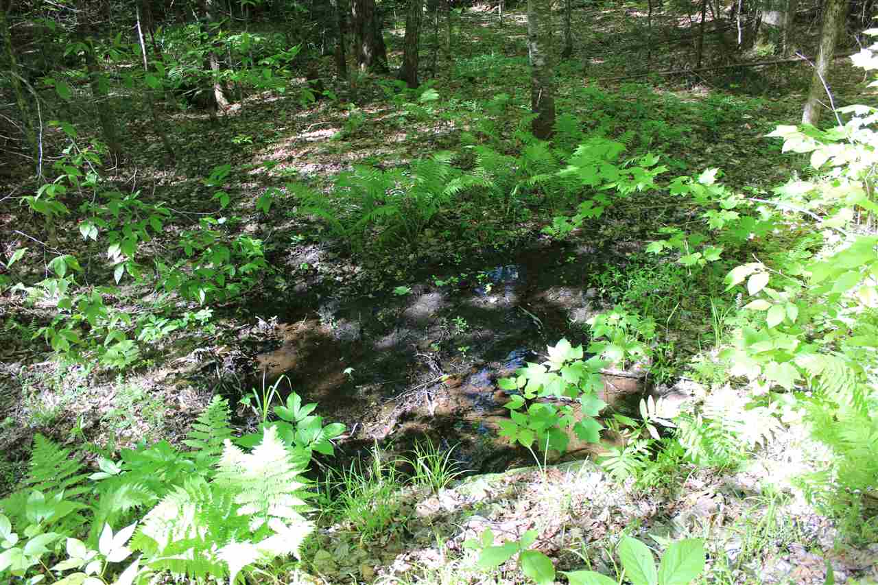 Golding Road, Unit 70151 & 070152 Windham, VT 05359 - Photo 6 of 9