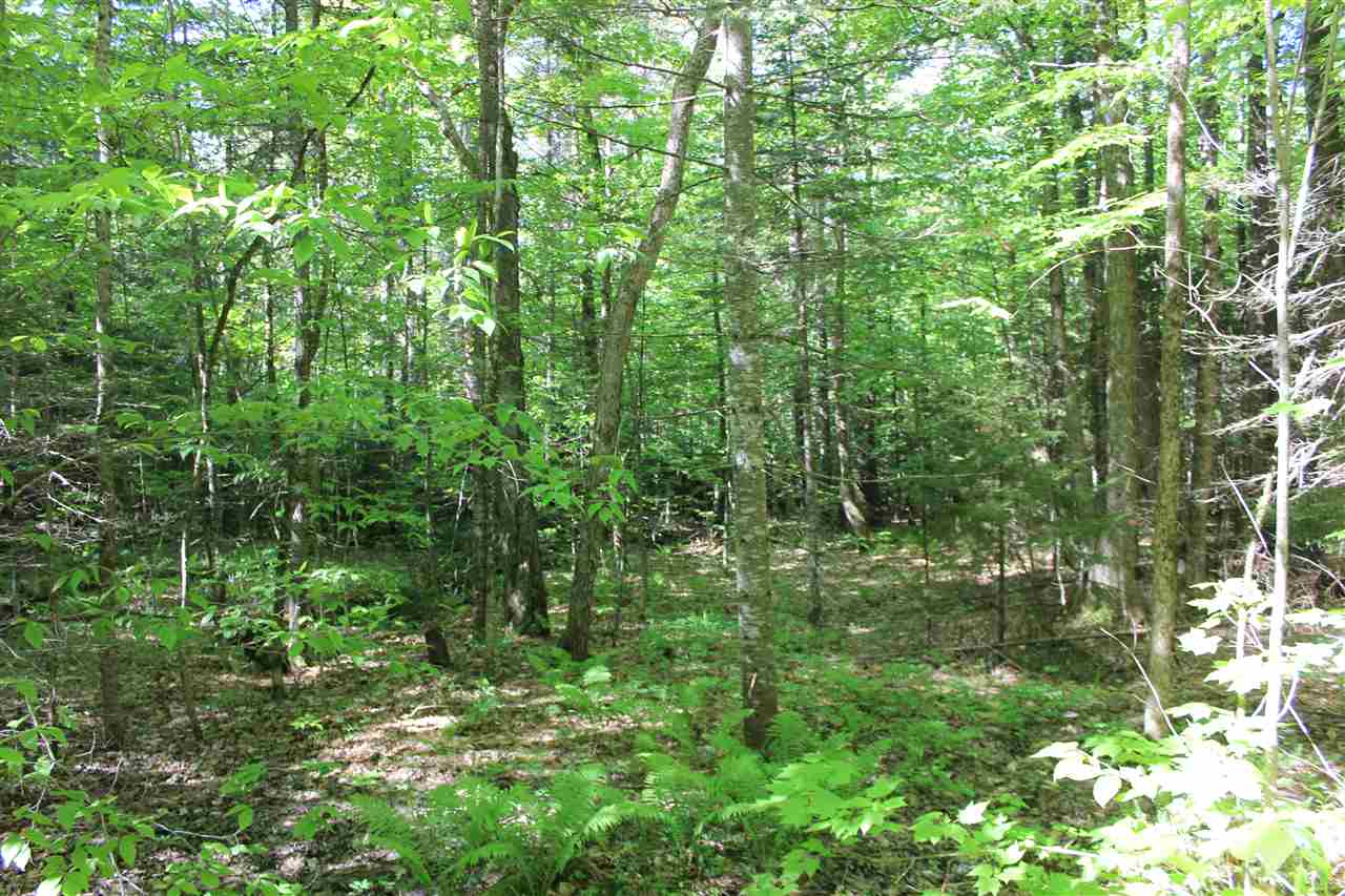 Golding Road, Unit 70151 & 070152 Windham, VT 05359 - Photo 7 of 9