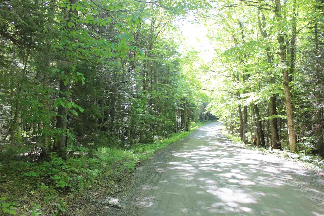 Golding Road, Unit 70151 & 070152 Windham, VT 05359 - Photo 9 of 9