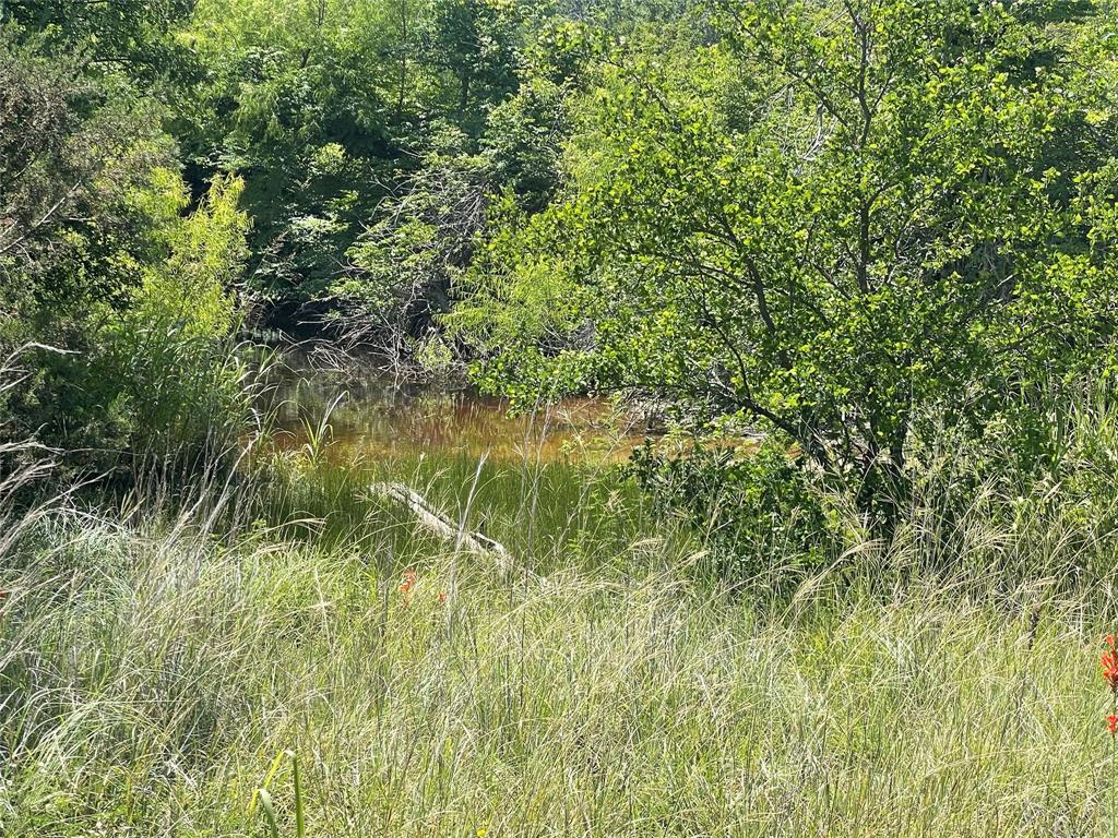 0 Lower Tonk Valley Road Graham, TX 76450 - Photo 32 of 35
