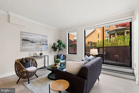 a living room with furniture and a potted plant
