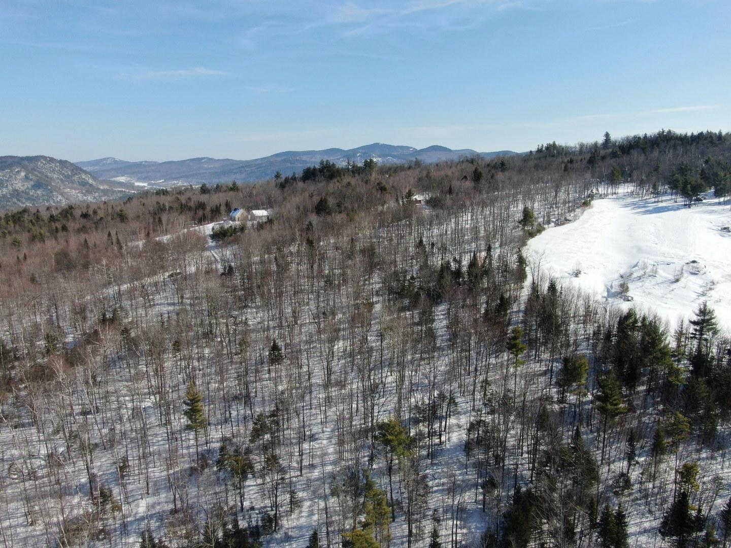 Tbd Tbd Holeman Road Rumford, ME 04276 - Photo 16 of 19 org_313b0fd1de08b71c_1582532616000_1440x