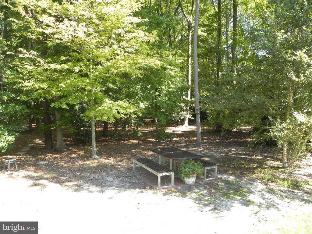 36344 Ridgeshore Lane Ocean View, DE 19967 - Photo 21 of 25 Gallery Image 21