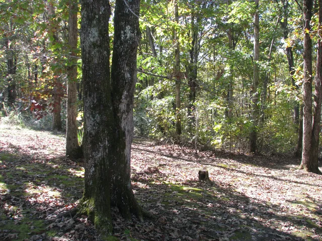 $79,900 | 329 Clover Lane, Waverly, TN 37185