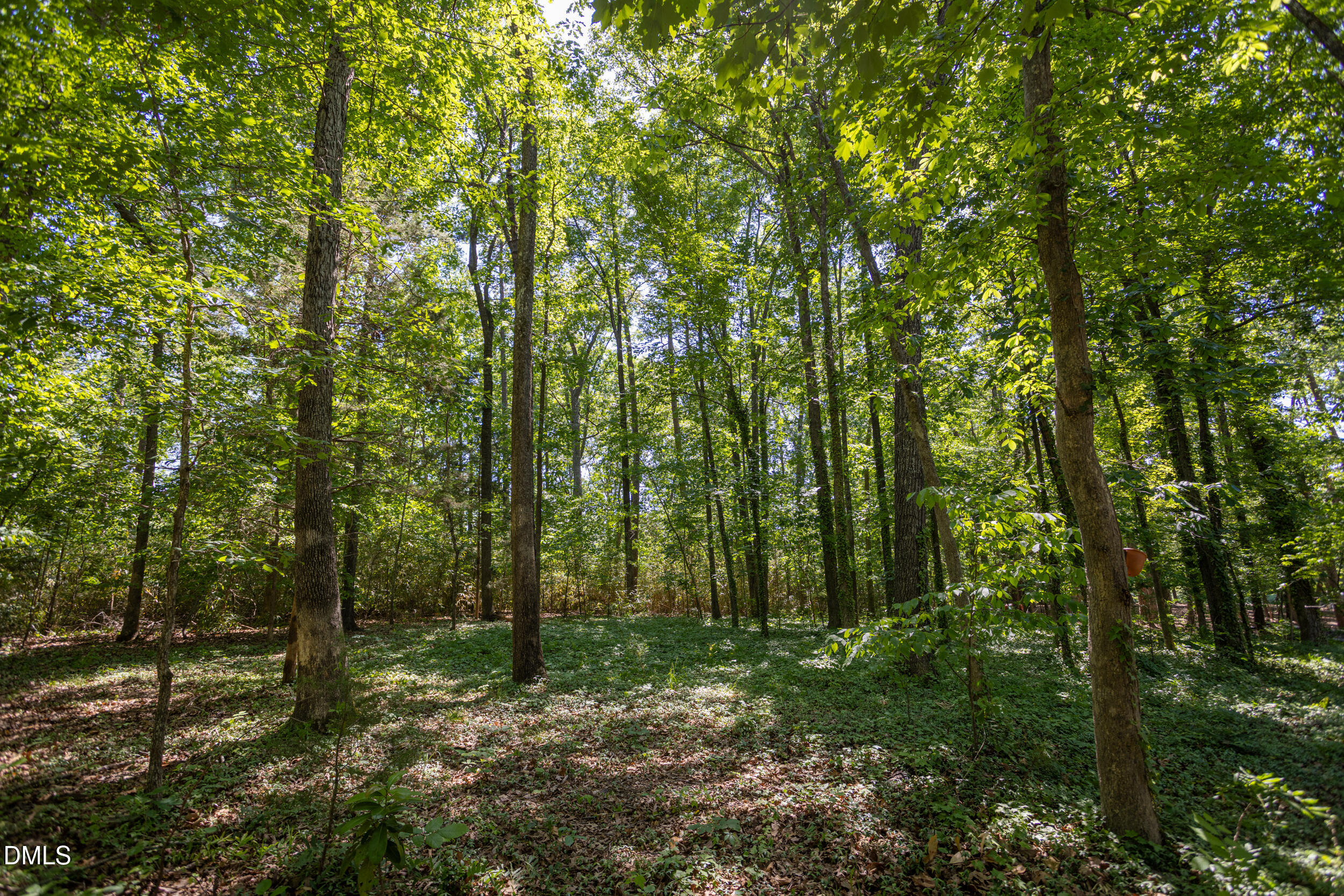 4020 Nottaway Road Durham, NC 27707 - Photo 52 of 58