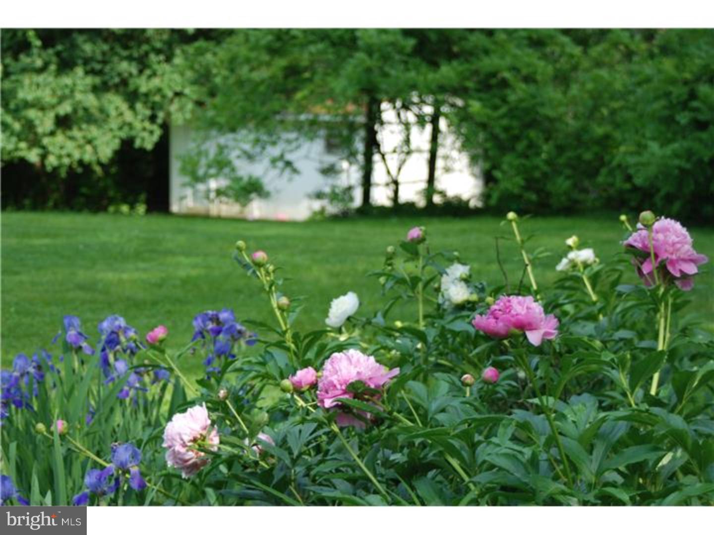 4247 Province Line Road Princeton, NJ 08540 - Photo 20 of 20 Exterior Back