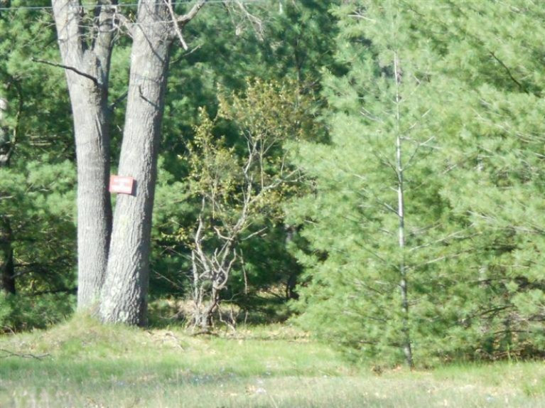 Blue Lake Road Holton, MI 49425 - Photo 13 of 19 Additional Photo