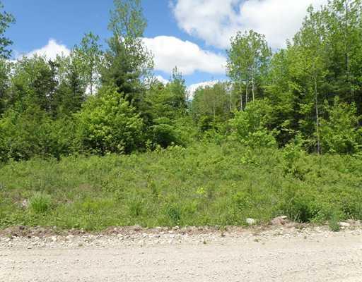 Lot 2 Little Seavey Lake Road Wesley, ME 04686 - Photo 2 of 6 Land/Lot.