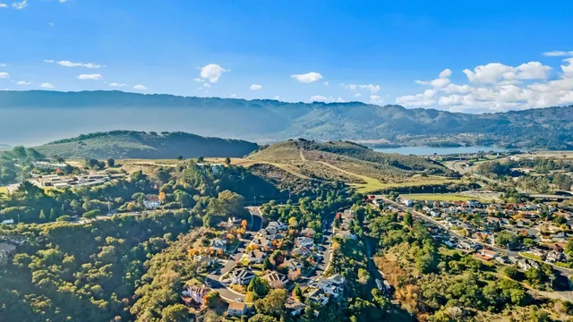 a view of empty space with trees