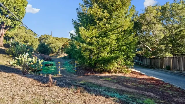 an aerial view of residential houses with outdoor space and trees