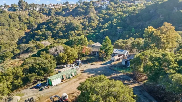 a picture of flowers