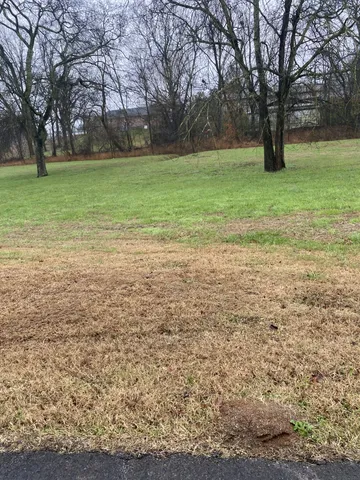 a view of a field with trees