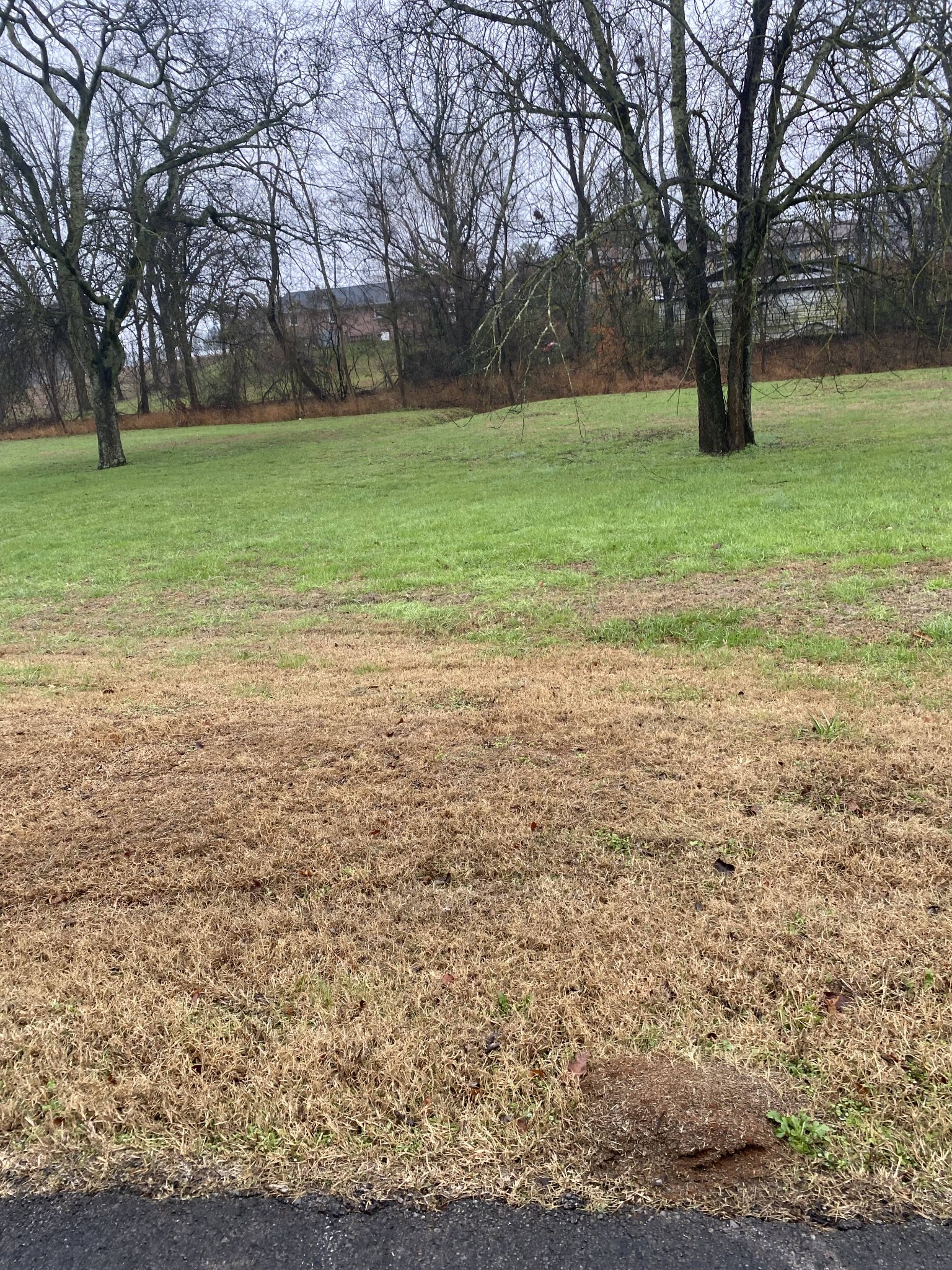 a view of a field with trees
