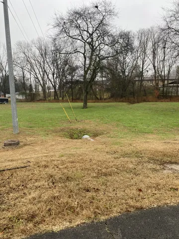 a view of a field with trees