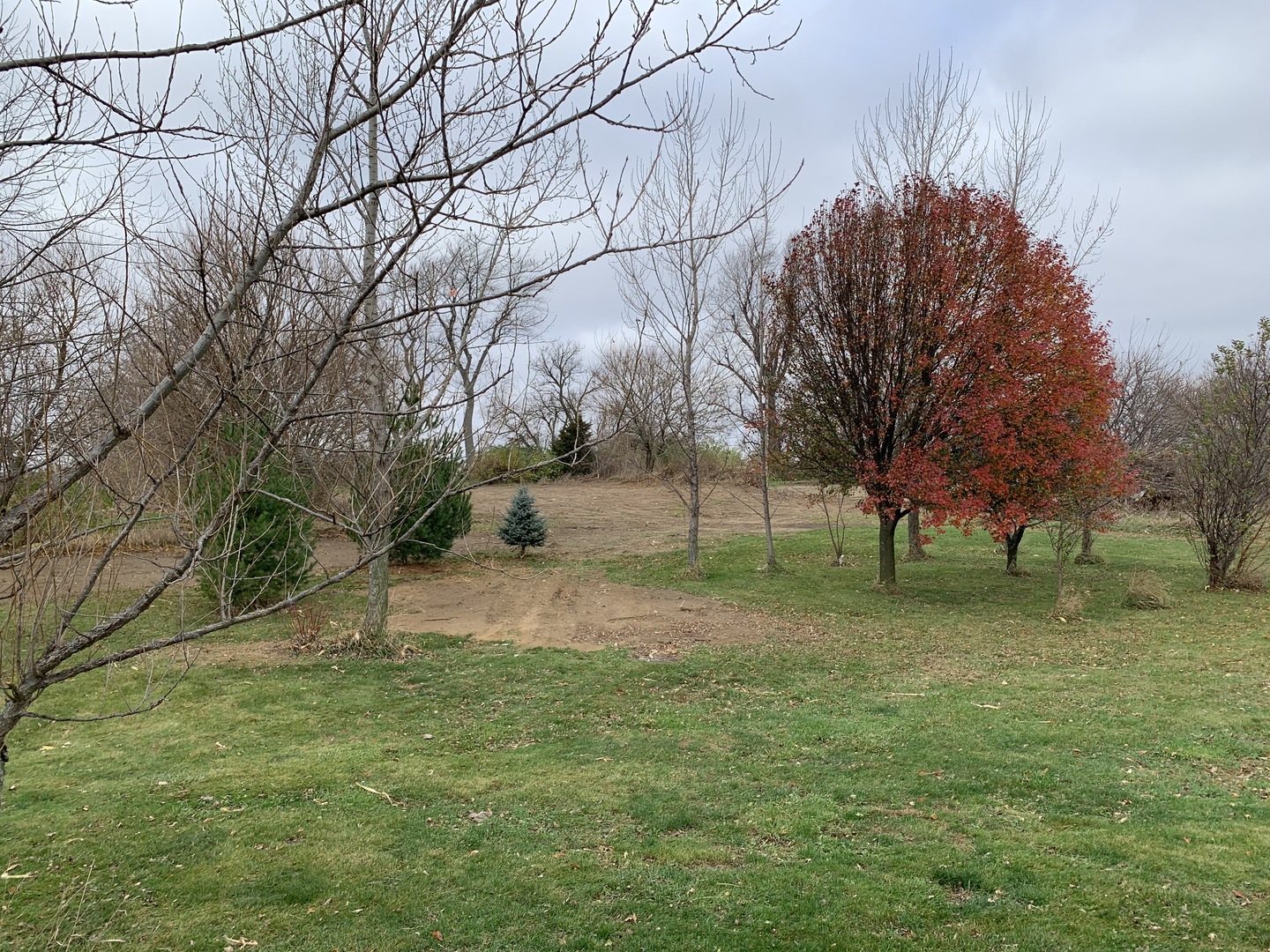 9245 West 2000 S Road Bonfield, IL 60913 - Photo 22 of 27 a view of backyard with green space