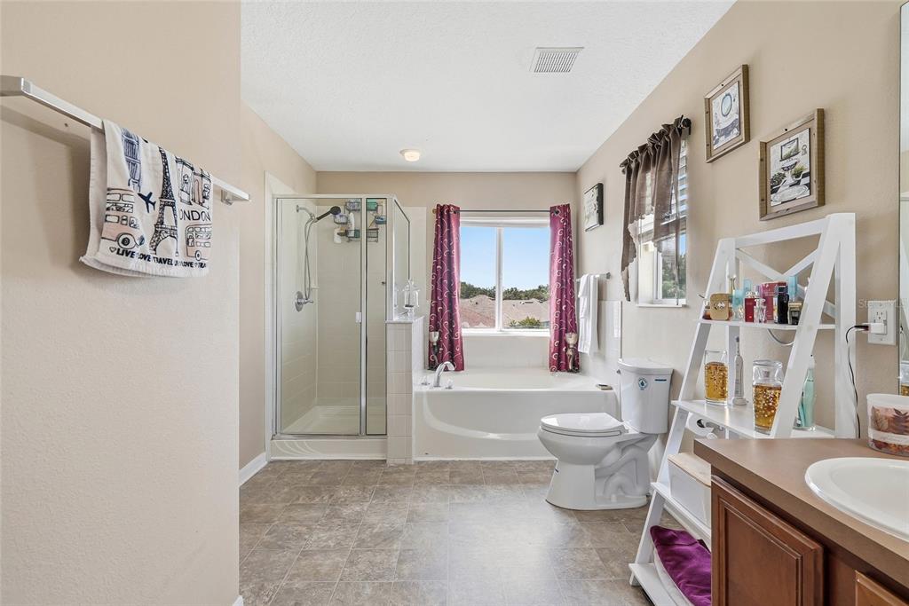 5213 Prairie View Way Wesley Chapel, FL 33545 - Photo 23 of 40