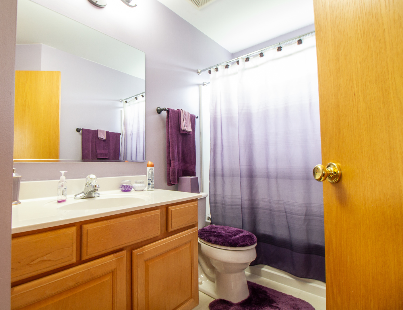 424 Butterfly Road Bolingbrook, IL 60490 - Photo 19 of 32 Gallery Image 19