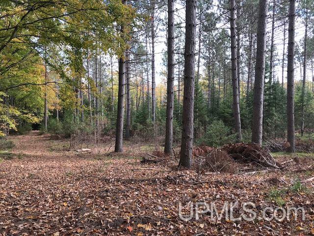3196 West 31.5 Road Carney, MI 49812 - Photo 17 of 24