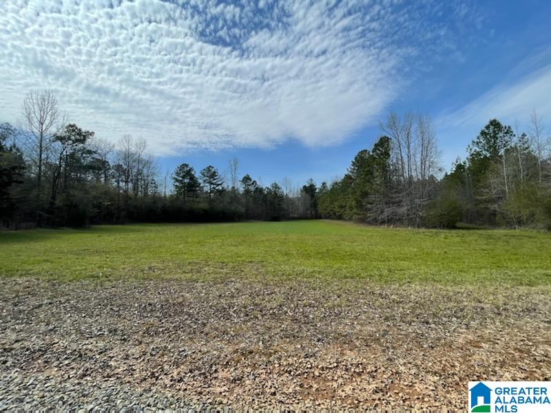 2659 Oldfield Road, Unit 1 Sylacauga, AL 35150 - Photo 2 of 5