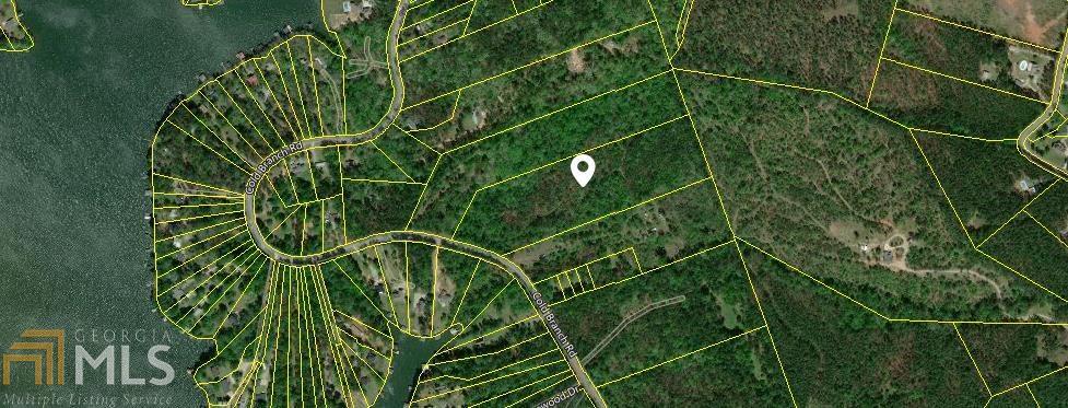 0 Cold Branch Road, Unit LOT 36 Eatonton, GA 31024 - Photo 1 of 1 a close up of a plant and street view