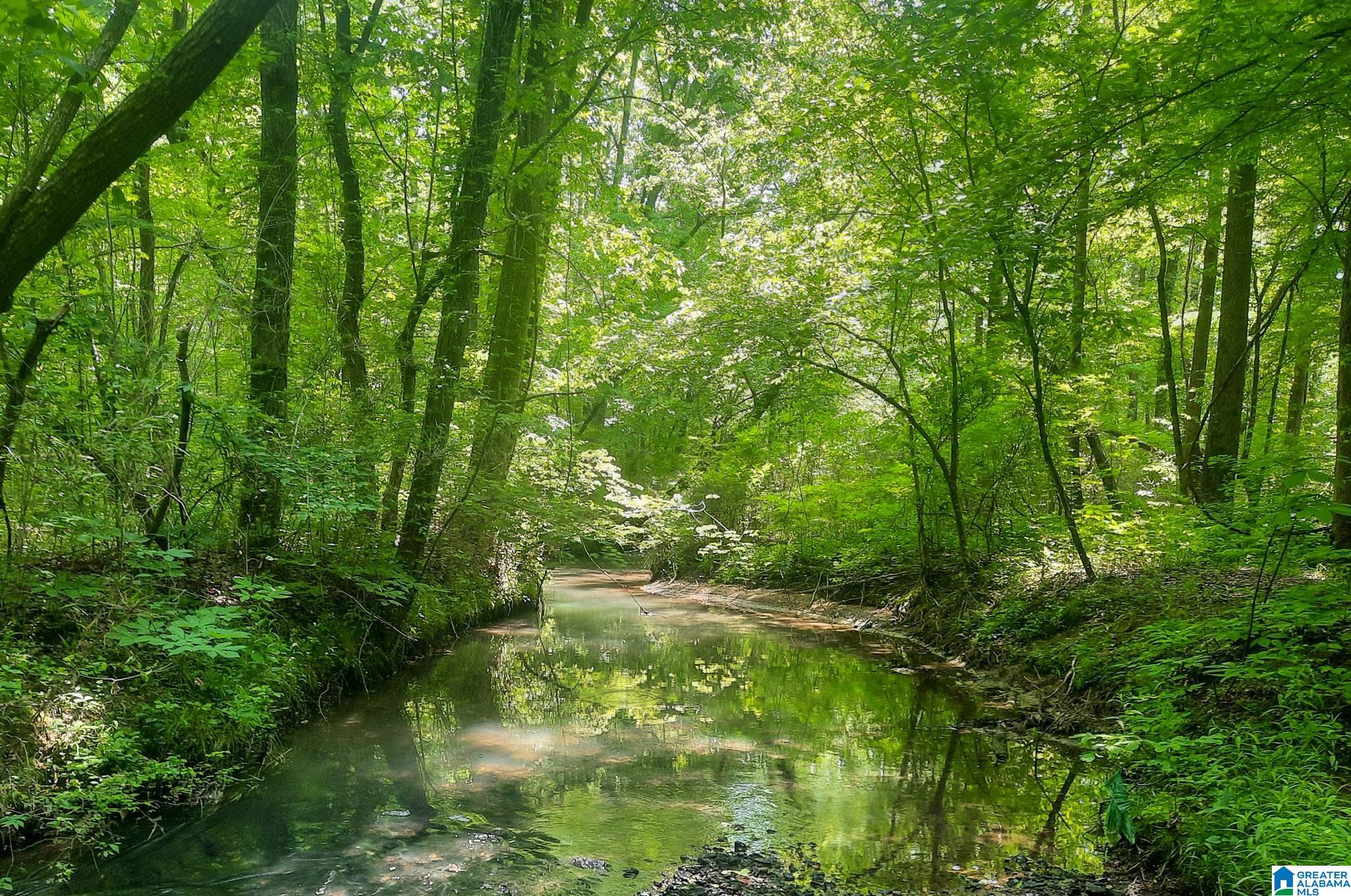 Hale Creek Road Oneonta, AL 35121 - Photo 1 of 17